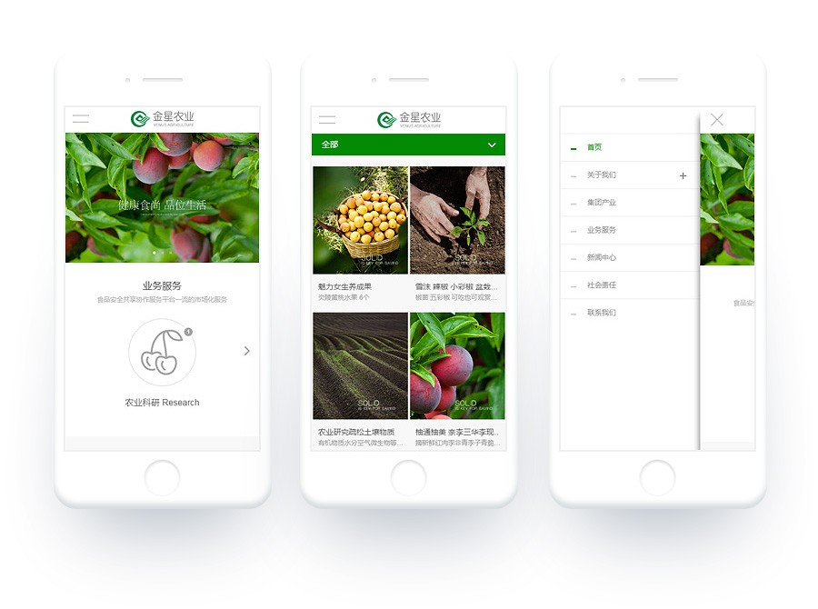 农业产品网站建设